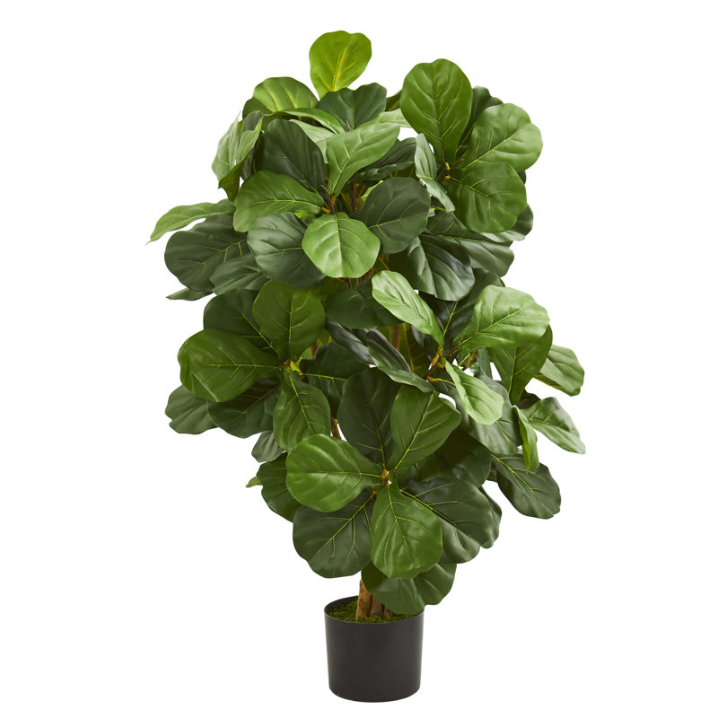 Charlton Home 36" Artificial Fiddle Leaf Fig Tree in Planter & Reviews